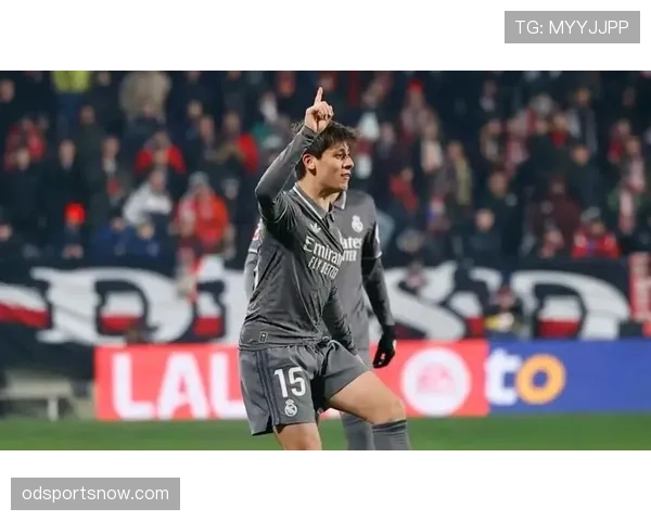 居莱尔在皇马的战术适配困境与角色定位挑战